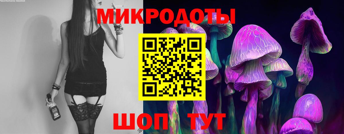Галлюциногенные грибы Magic Shrooms Прохладный