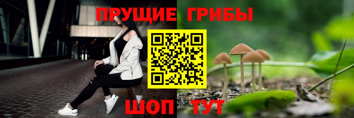 Прохладный  Псилоцибиновые грибы прущие грибы  Вход с VPN 